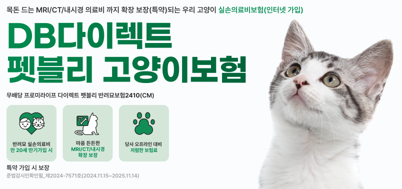 DB다이렉트 펫블리 고양이