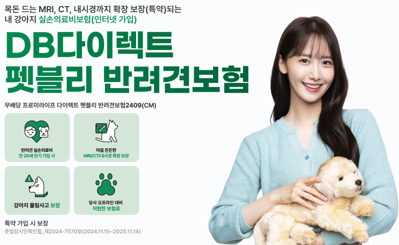 DB다이렉트 펫블리 반려견