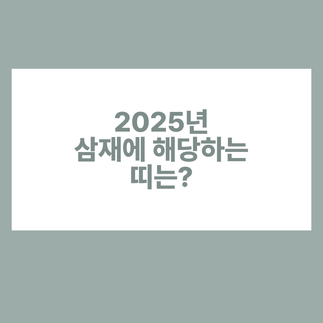 2025년 삼재띠