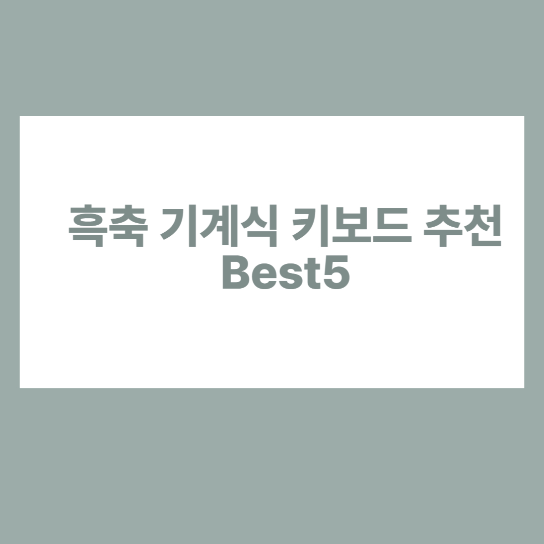 흑축 기계식 키보드
