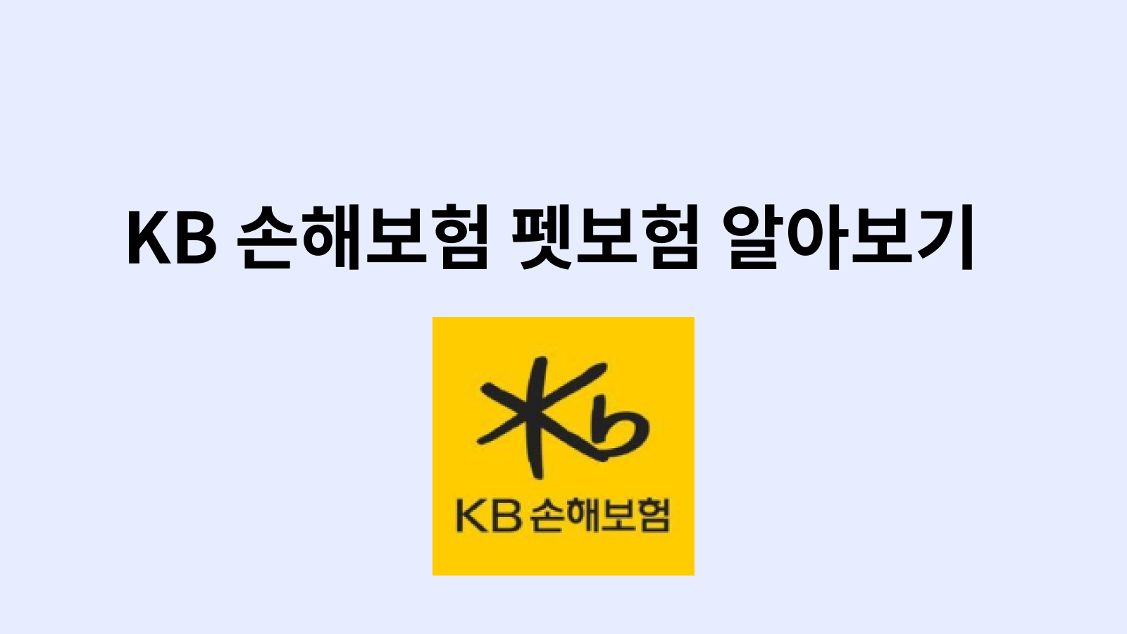 kb펫보험 고양이