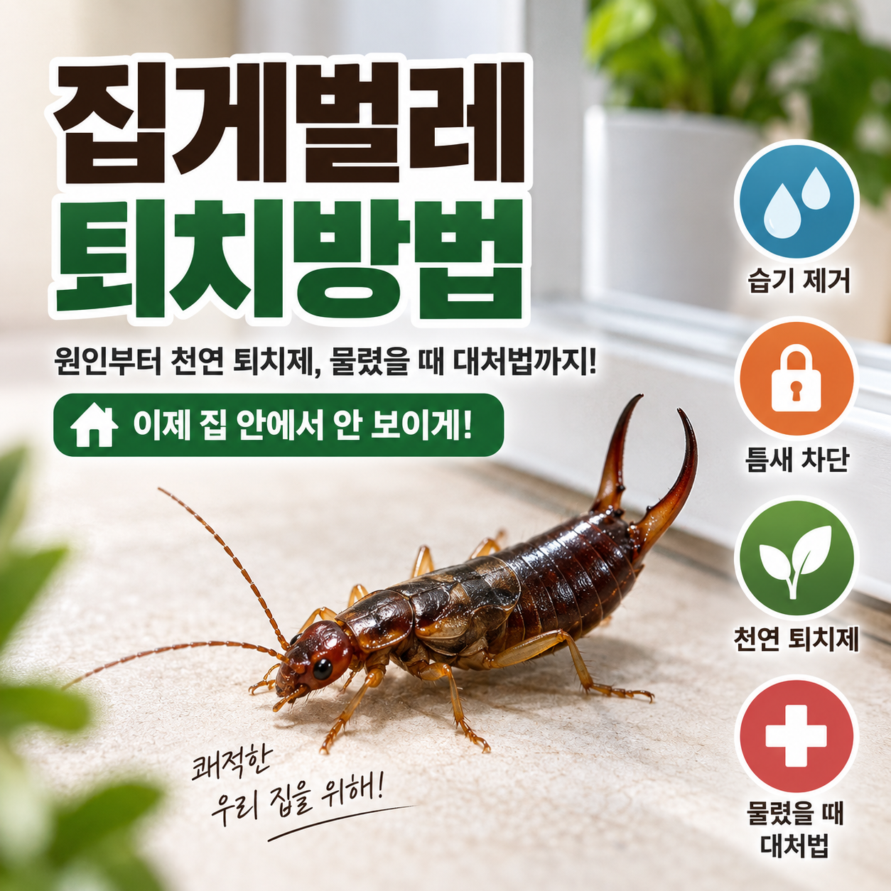 집게벌레